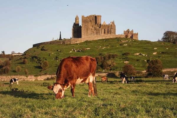 Cashel Castle, Co Tipperary Rock of Cashel